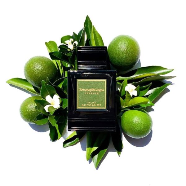 Ermenegildo zegna Italian bargamot