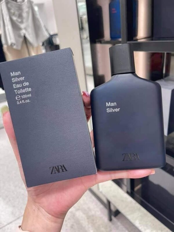 Man Silver Zara